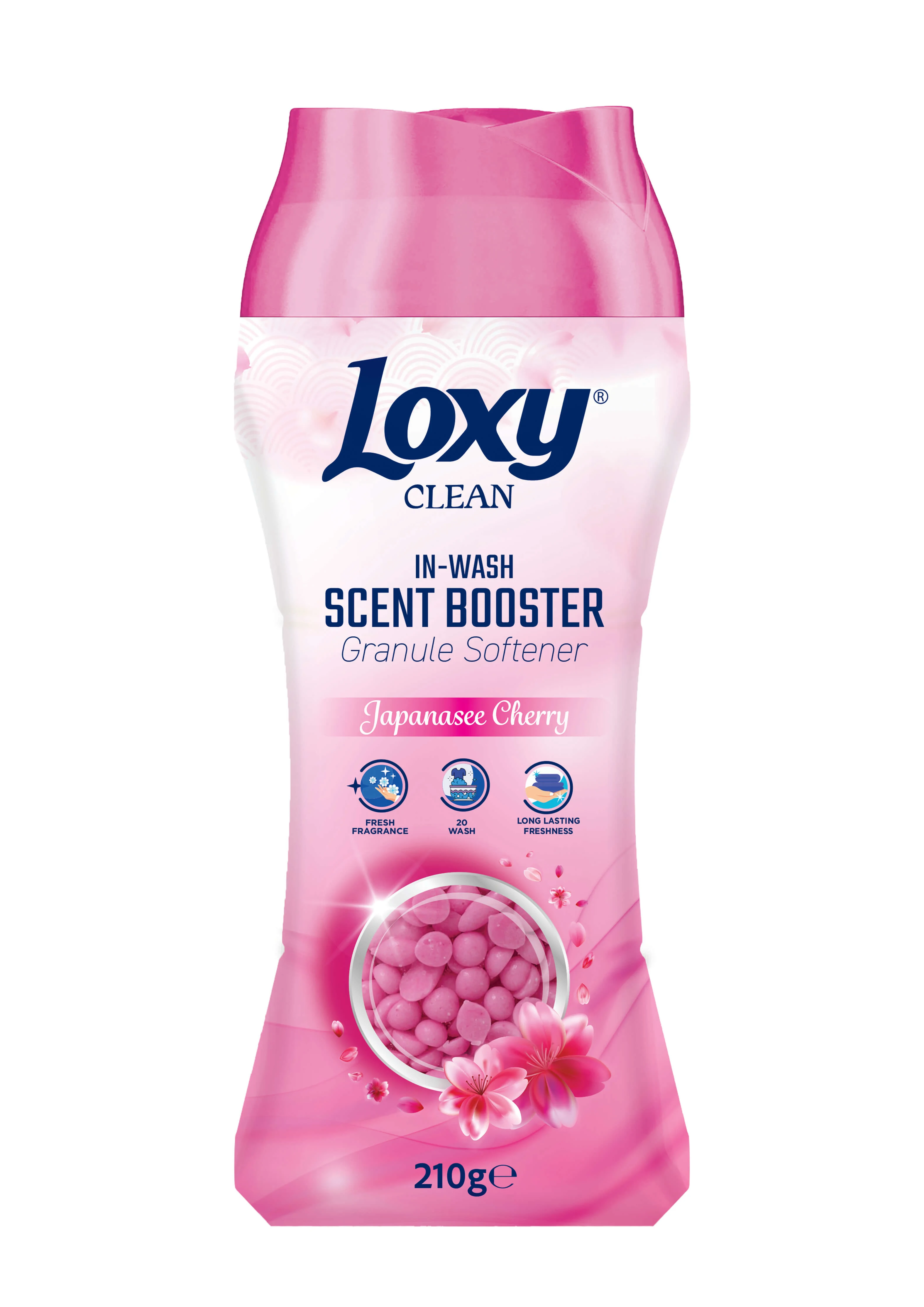 Loxy Granül Japon Kirazı