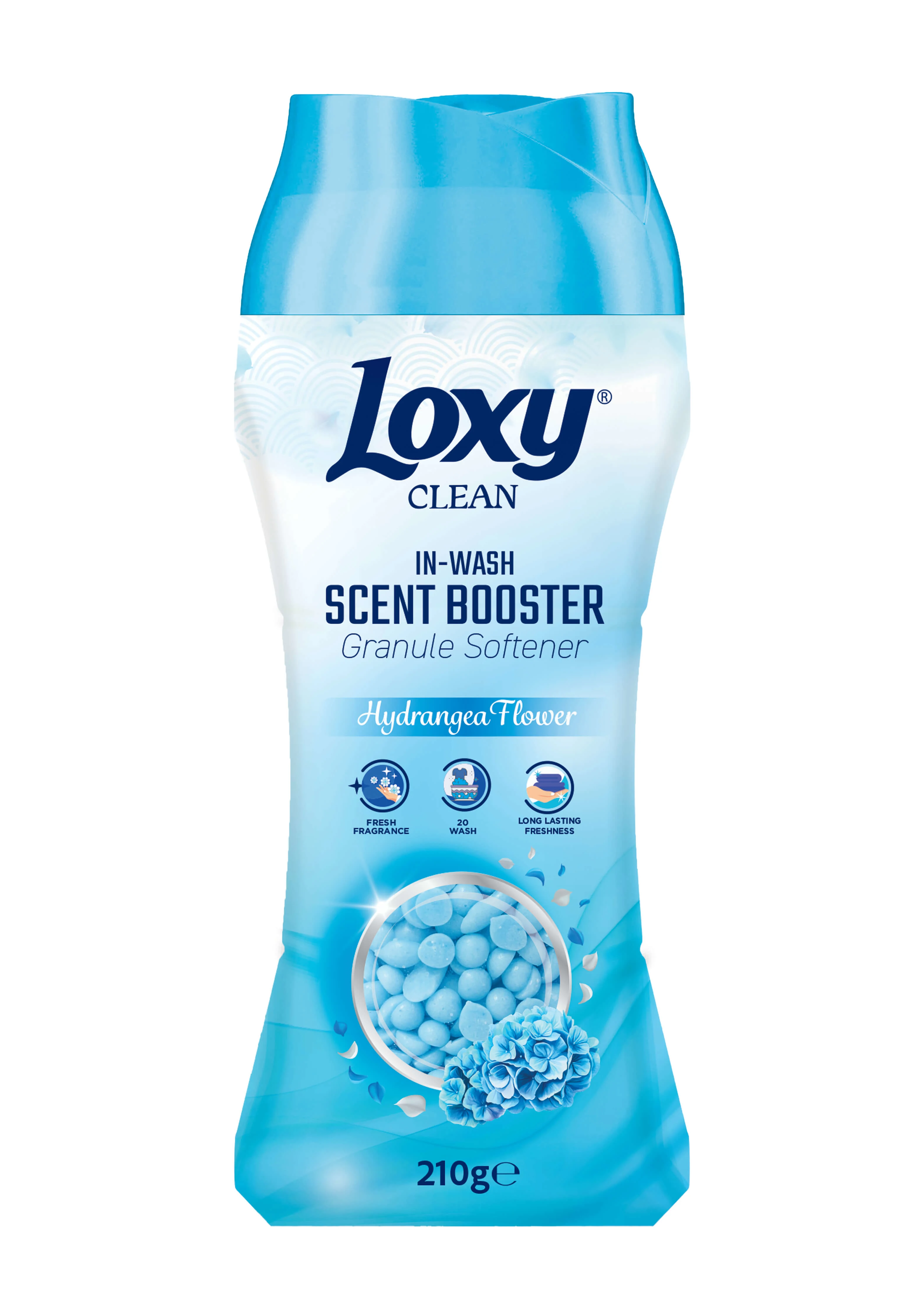 Loxy Granül Ortanca Çiçeği