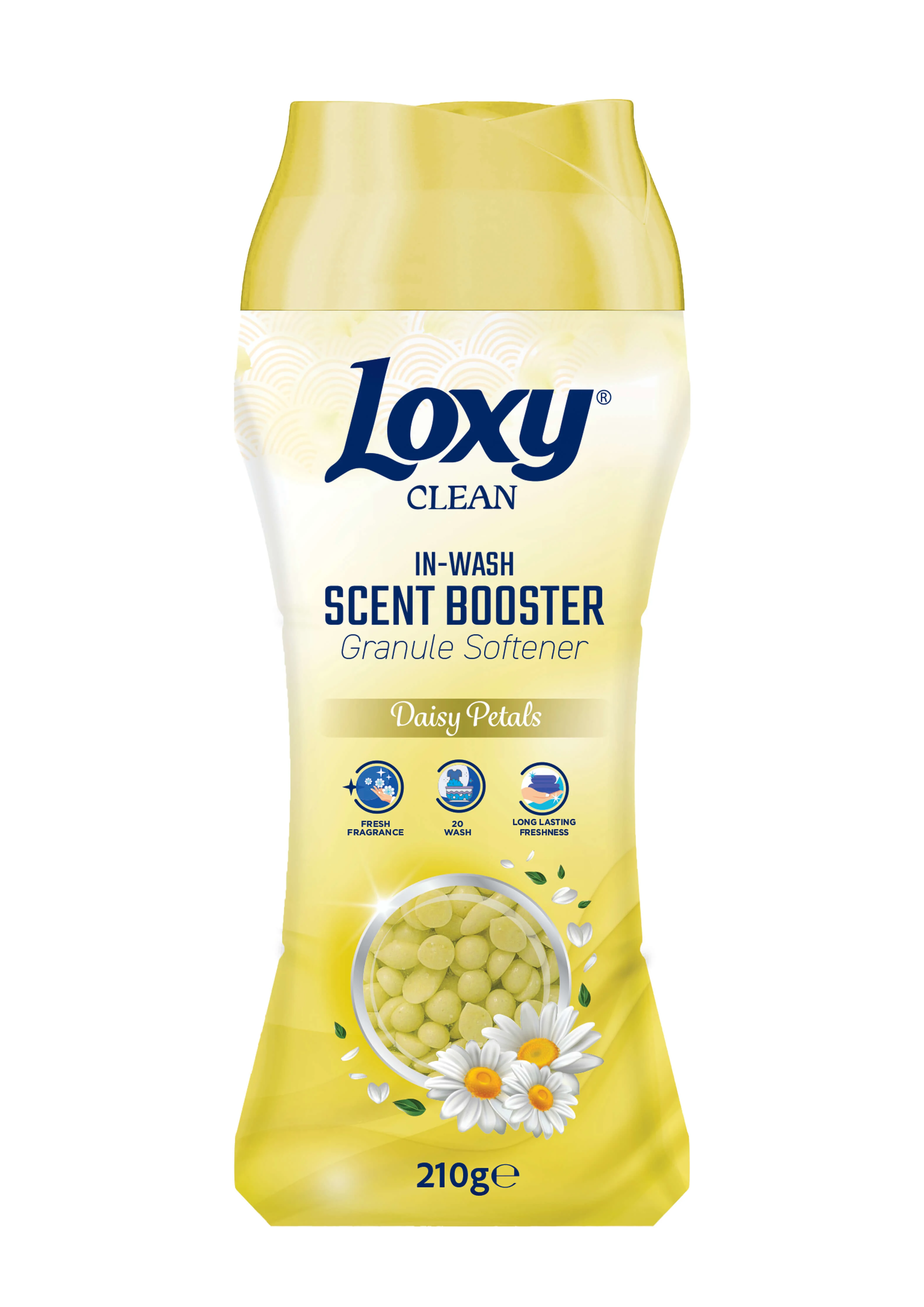 Loxy Granül Papatya